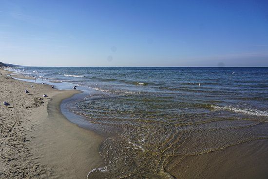 Rezerwat "Kąty Rybackie"